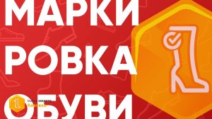 Решение для обязательной маркировки обуви в 2019 году. Вебинар Клеверенс – партнёра ИС Честный знак