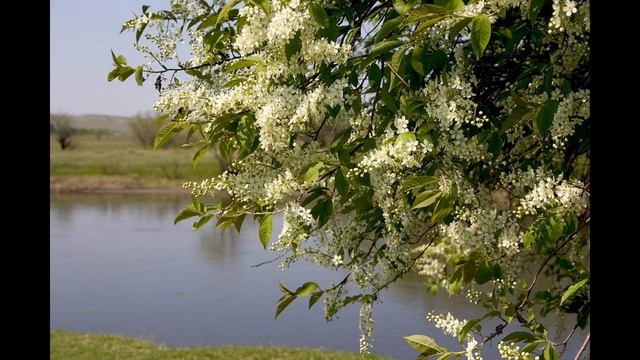 4 мая Проклов день. Обряды на хороший урожай. Народные приметы и запреты дня смотреть онлайн