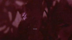 Claude Barzotti - Que sais-tu de moi