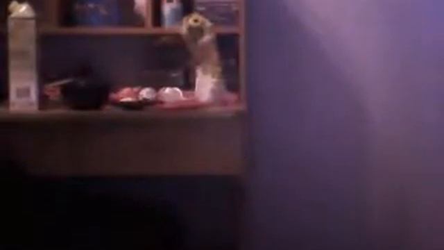 bandicam 2013 02 01 20 10 07 146 смотреть онлайн