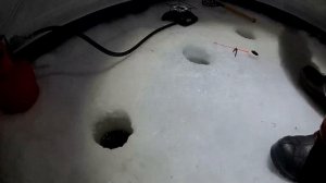 Ночная рыбалка на карася. Ловля карася в феврале. Карась на солёное сало. Зимняя рыбалка 2022