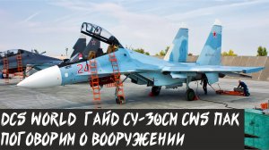 DCS World. Гайд СУ-30СМ. CWS пак. Поговорим о вооружении.