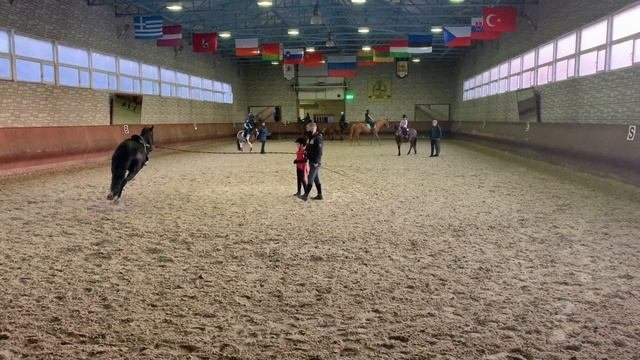 Верховая езда//КОНОБЛОГ// Виды аллюра - мой первый ГАЛОП