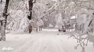 Кентау. Кентауская зимняя сказка. Автор Людмила Никольская. Январь 2023 года.
