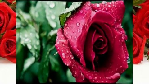 С_ДНЕМ_РОЖДЕНИЯ_МУЗЫКАЛЬНАЯ_ОТКРЫТКА_ПОЗДРАВЛЕНИЕ(2).mp4