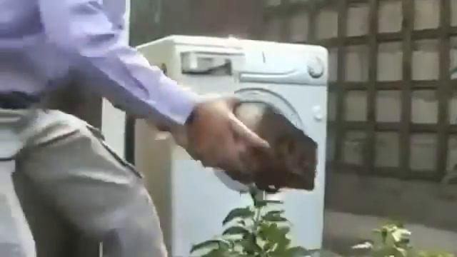 Harlem Shake Machine