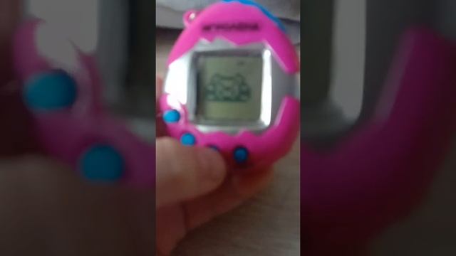 как ухаживать за Тамагочи? |LizaPlay Тамагочи| смотреть онлайн