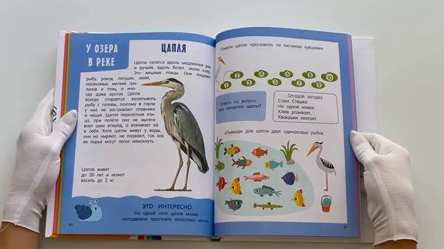 Главная книга о животных смотреть онлайн