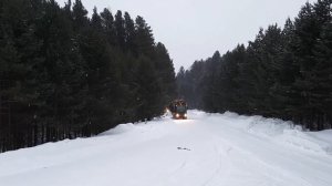 Вывозка леса в хлыстах, тайга. Томская область.