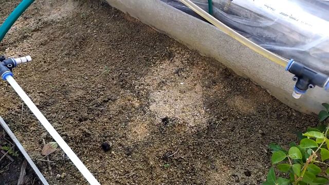 Устройство парника, ?для зеленого черенкования. Размножение растений.?? смотреть онлайн