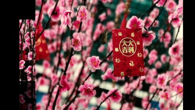 Ulefone Gemini Самый полный обзор Анонс новинок смотреть онлайн