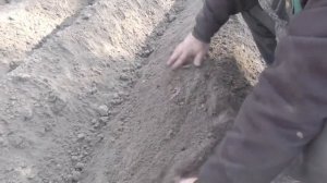 ПРОДОЛЖЕНИЕ..САЖАЕМ КАРТОШКУ МОТОБЛОКОМ