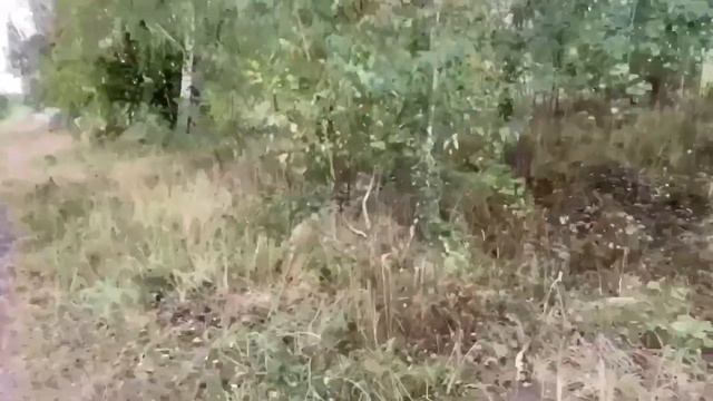 СРОЧНО ВЫЗЫВАЙТЕ САНИТАРОВ! ОЛЮНЯ И КОТЮНЯ.