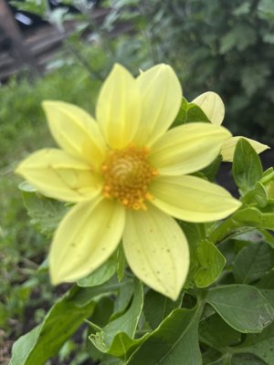 Мортал комбвт