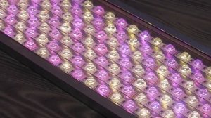 Свет, освещение в нано аквариум: оптимальный RGBW светильник (лампа) в маленький аквариум. Купить.