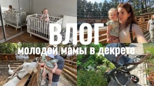 ДЕНЬ НА ДАЧЕ 🏡КОНТАКТНЫЙ ЗООПАРК 🐥 НОВАЯ КРОВАТКА 😴 КОЛЯСКА STOKKE 🫣  ЗЛАЯ в ДЕКРЕТЕ? 😳