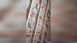 Мыши в частном доме и борьба с ними