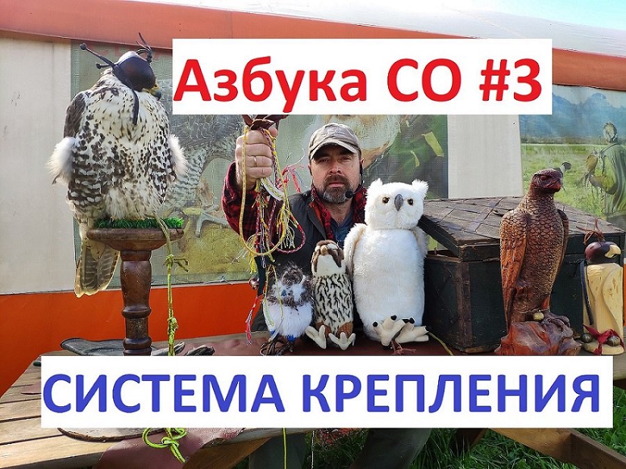 Азбука соколиной охоты #3. Система крепления. Амуниция для хищных птиц.