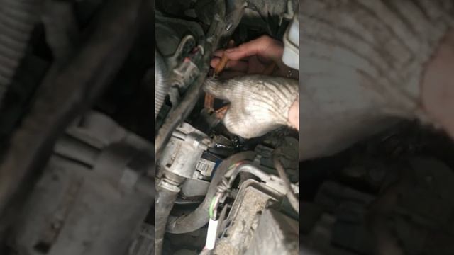 Печка дует холодным воздухом, замена термостата Ларгус смотреть онлайн