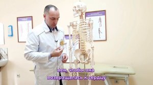 МОЖНО ЛИ ЗАНИМАТЬСЯ УПРАЖНЕНИЯМИ ПРИ ВАРИКОЗЕ? ОТВЕТ ВРАЧА ЦЕНТРА ДОКТОРА БУБНОВСКОГО В СОЧИ