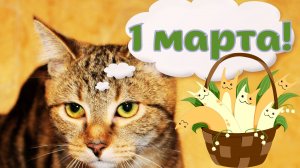 С 1 марта! С днём кота! Мартовский кот весну позовёт!