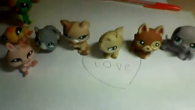 Видео с веб-камеры. Дата: 9 октября 2012 г., 14:23. смотреть онлайн