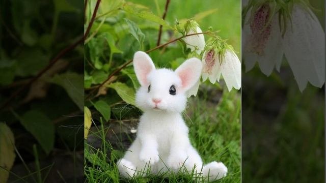 описание канала