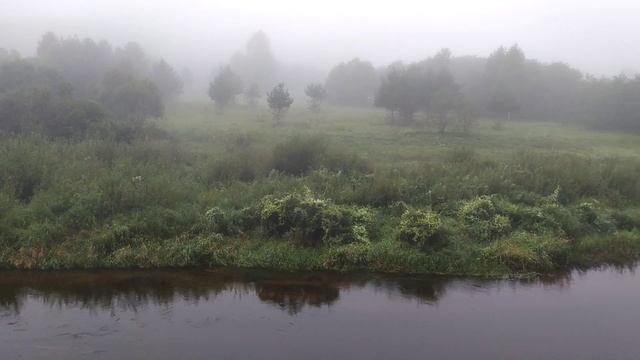 2023-08-27 Tma river смотреть онлайн