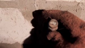 замена датчика заднего хода АЗЛК 2141