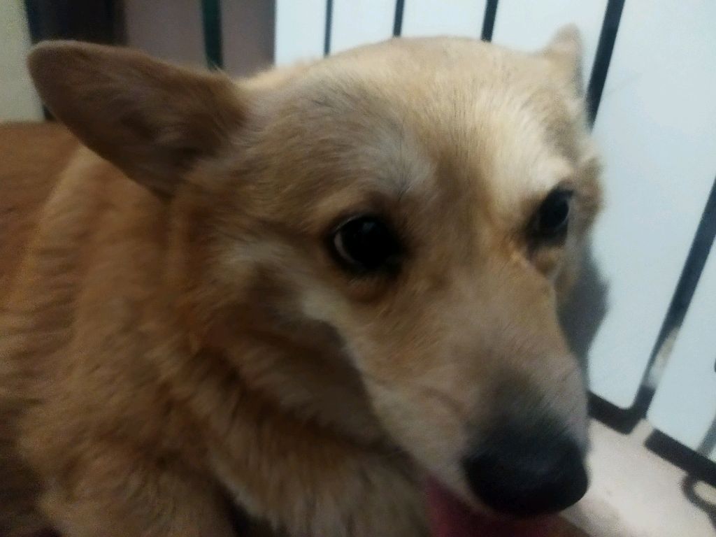 yujfgdh смотреть онлайн