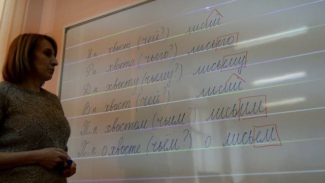 Правописание притяжательных прилагательных