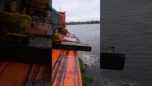 Рыбалка в Машкино. Зарыбление пруда в село Машкино Конышевского района Курской области.