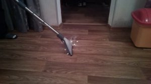 Тест моющего пылесоса Zelmer 919.5 st