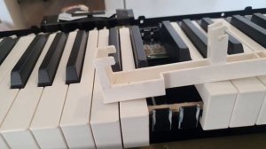 Studiologic SL73 Fatar TP-100, rattling fix and mechanism show off