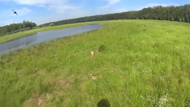 Рыбалка на малой речке, щука и нельма.