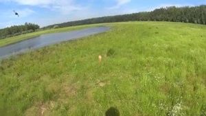 Рыбалка на малой речке, щука и нельма.