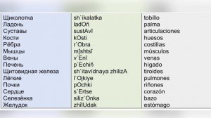 Habla Ruso Rápido, Aprende idioma con diálogos de tema Salud, clase 11, Curso de RUSO Conversaciona