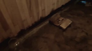 Переделываем сгнившие полы в бане. Черновой пол.