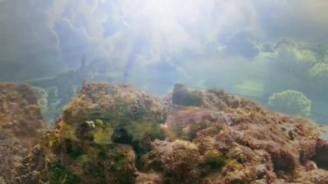 Рог изобилия. Из повести "Неведомый путь" смотреть онлайн