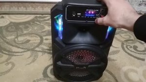 Колонка ELTRONIC 20-28 CRAZY BOX