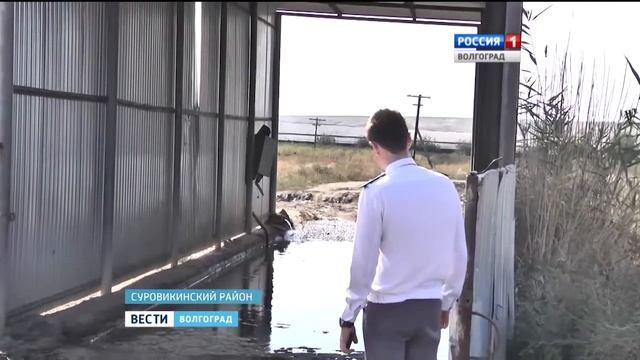 Специалисты Россельхознадзора проверяют условия содержания и перевозки КРС смотреть онлайн