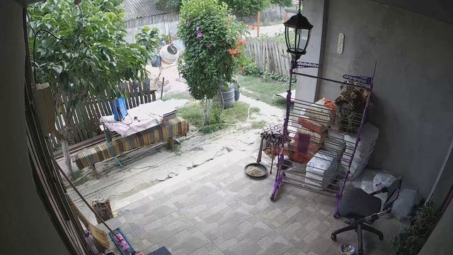 IPC 6MP test Dahua 4631C-A смотреть онлайн