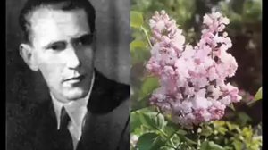 Георгий Виноградов Ветка сирени