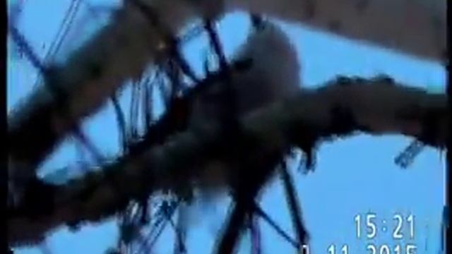 ДЛИННОХВОСТАЯ СИНИЦА(ополовник) - НЕПОСЕДА-ЕГОЗА + чижи