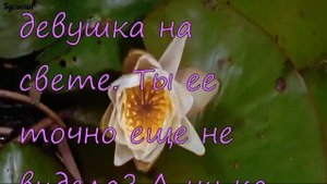 Красивые поздравления с 8 Марта!
