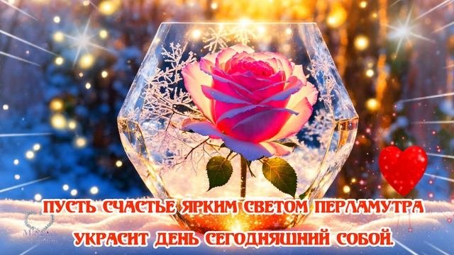 ДОБРОЕ УТРО .