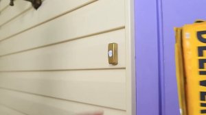 Пикачу от рождения до смерти! Покемоны в реальной жизни!