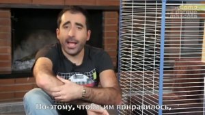 Шиншиллы - первый день дома