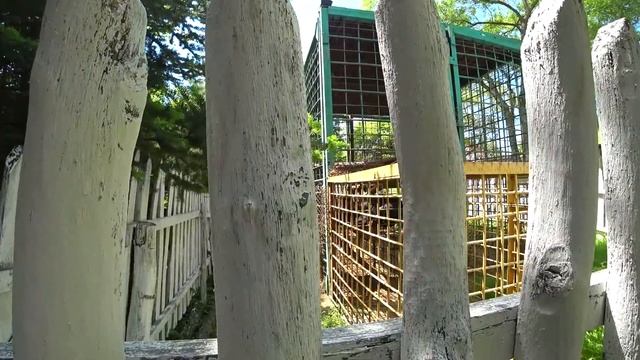 Россия государственный праздник День блогера влог Приморский край погода приморье