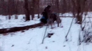 Мини трактор из мотоблока Работа в лесу